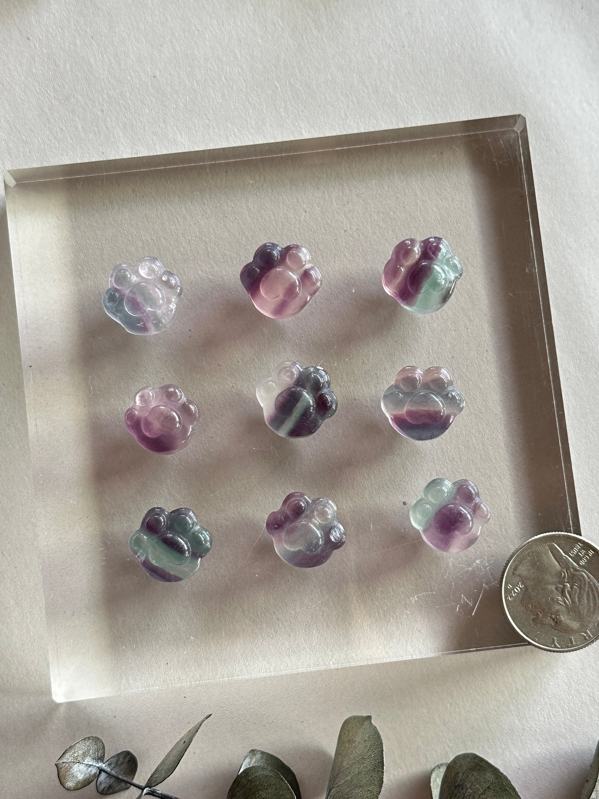 Fluorite Mini Paw