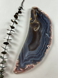 Slab #FAS3 Blue Banded Flower Agate Slab