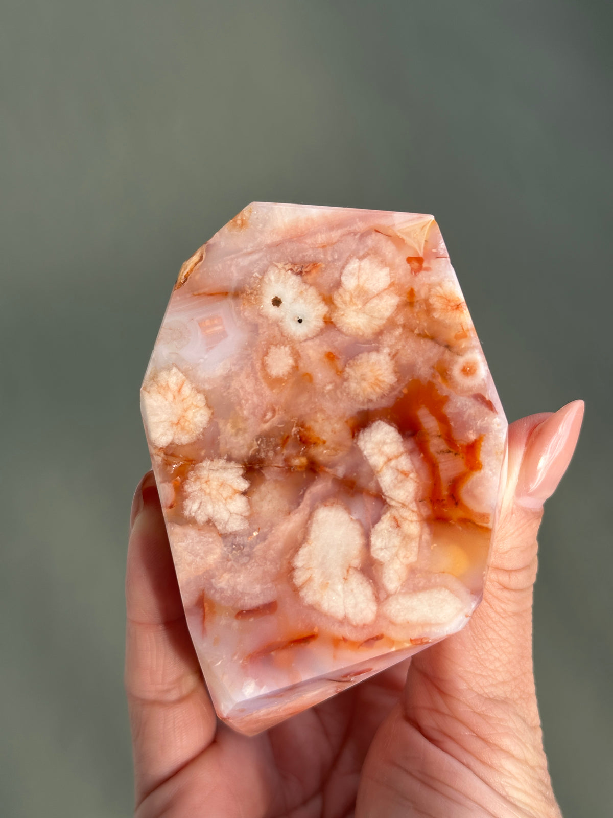 Pink Carnelian Flower Agate XL Freeform #3