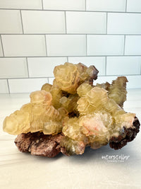 COIN CALCITE - RARE Mineral Fine Specimen