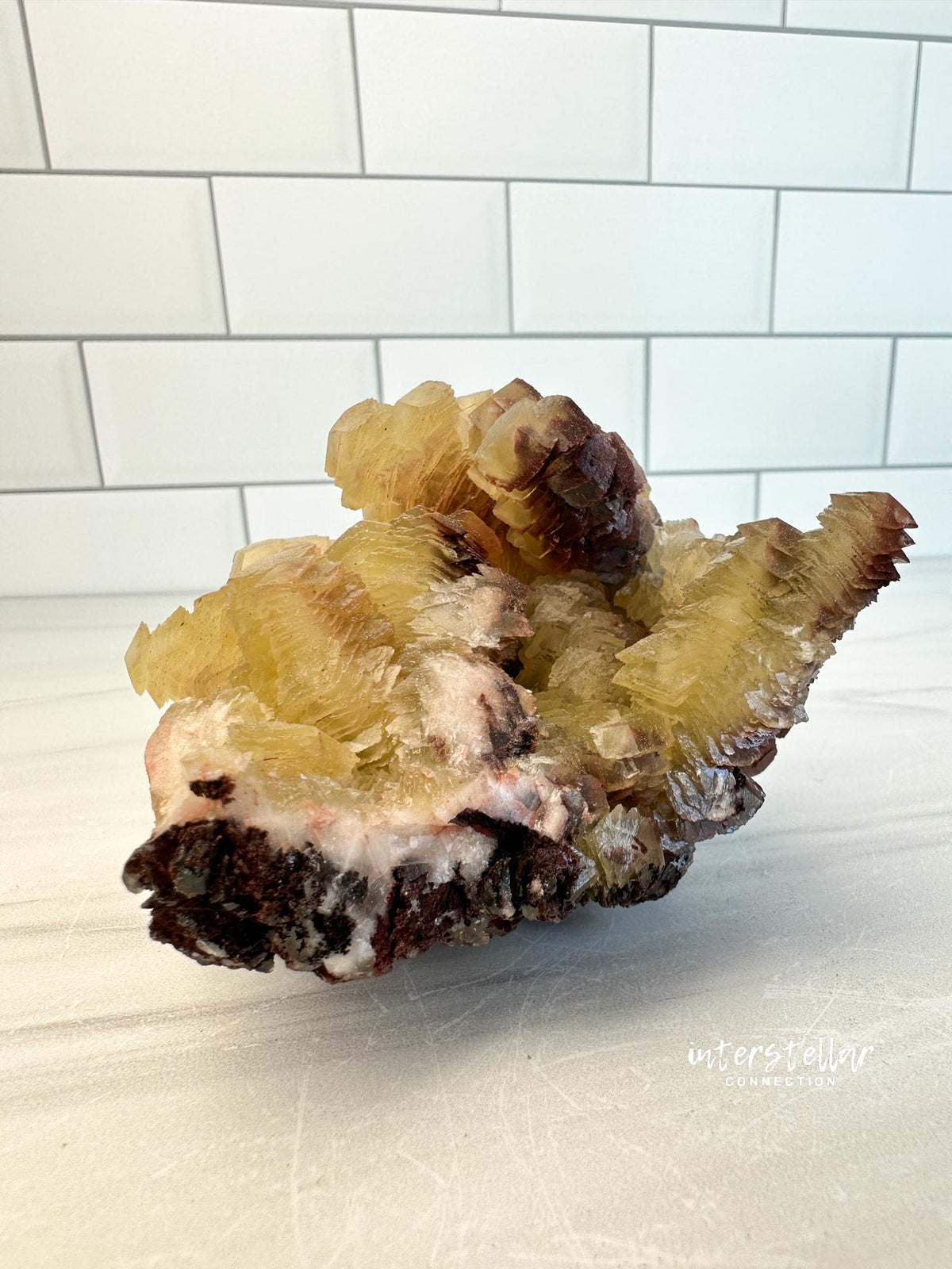 COIN CALCITE - RARE Mineral Fine Specimen