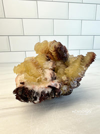 COIN CALCITE - RARE Mineral Fine Specimen