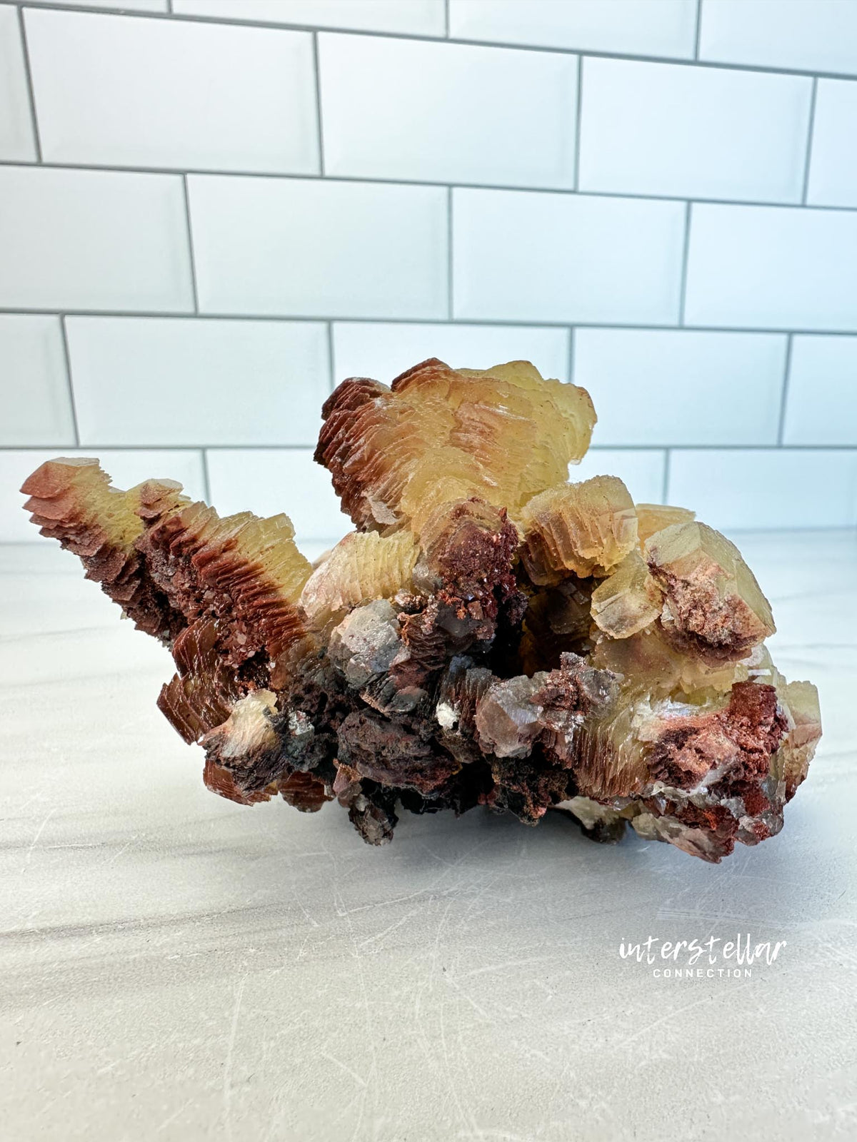 COIN CALCITE - RARE Mineral Fine Specimen