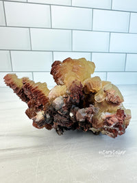 COIN CALCITE - RARE Mineral Fine Specimen