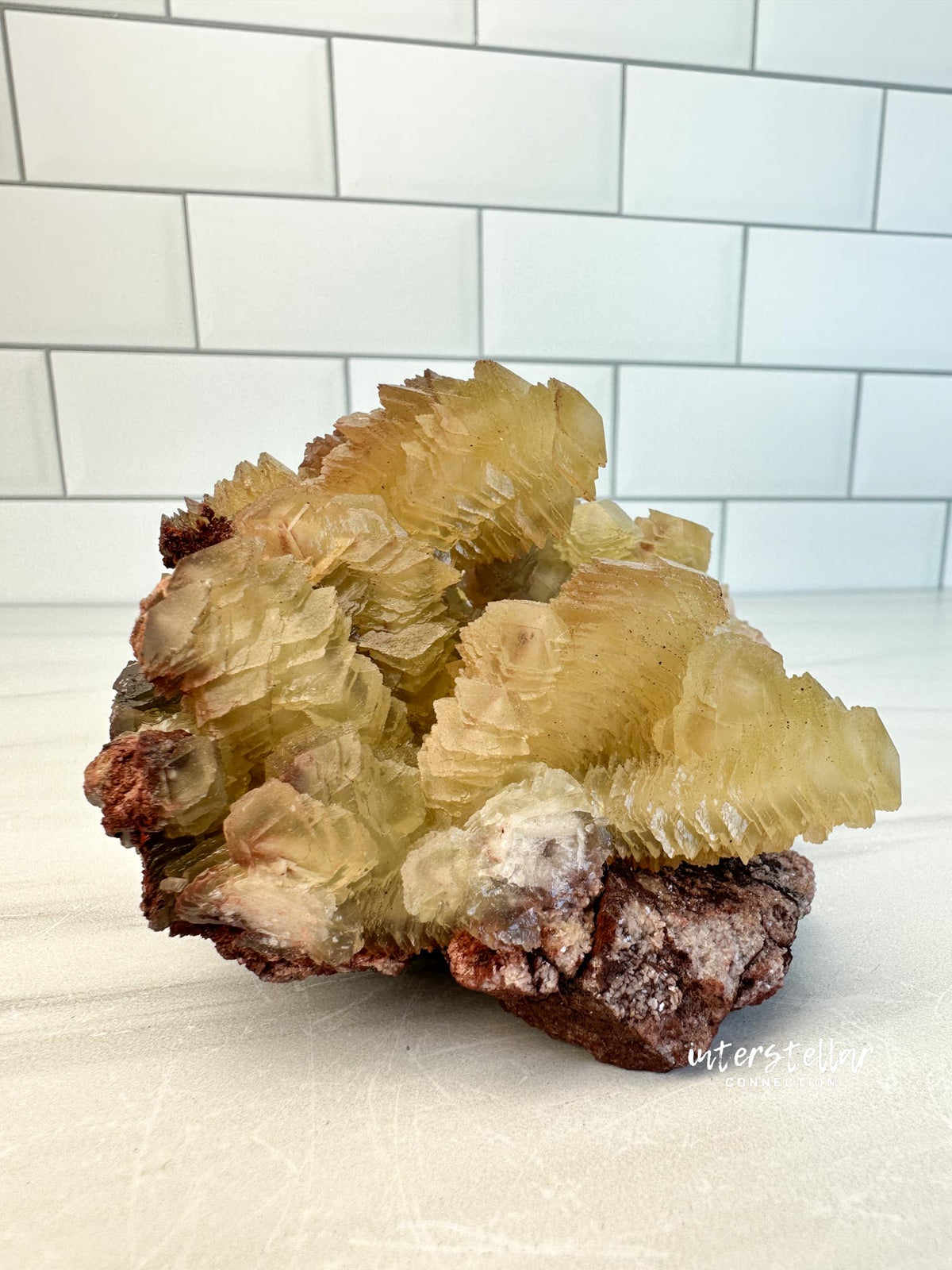 COIN CALCITE - RARE Mineral Fine Specimen