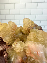 COIN CALCITE - RARE Mineral Fine Specimen