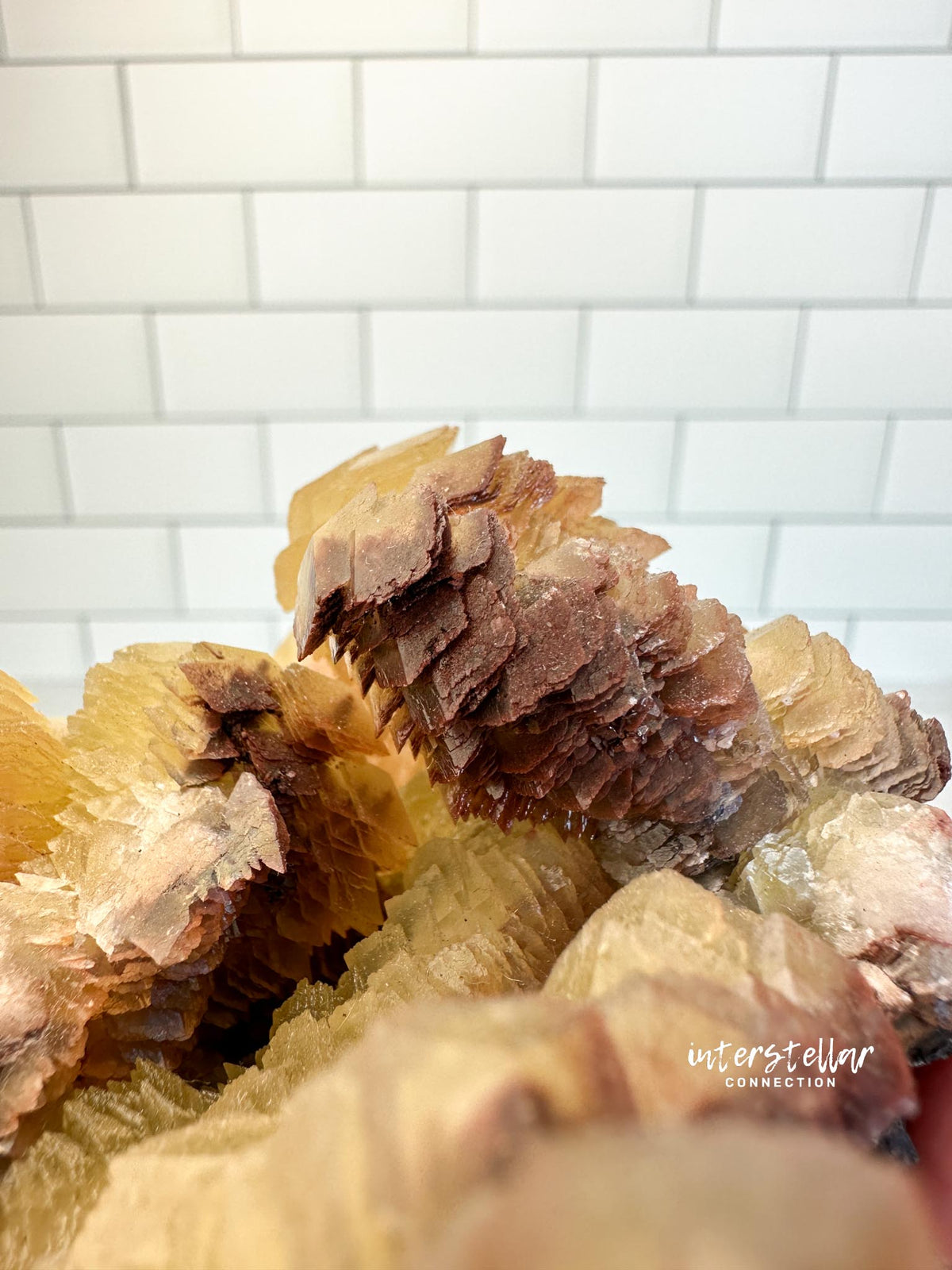 COIN CALCITE - RARE Mineral Fine Specimen