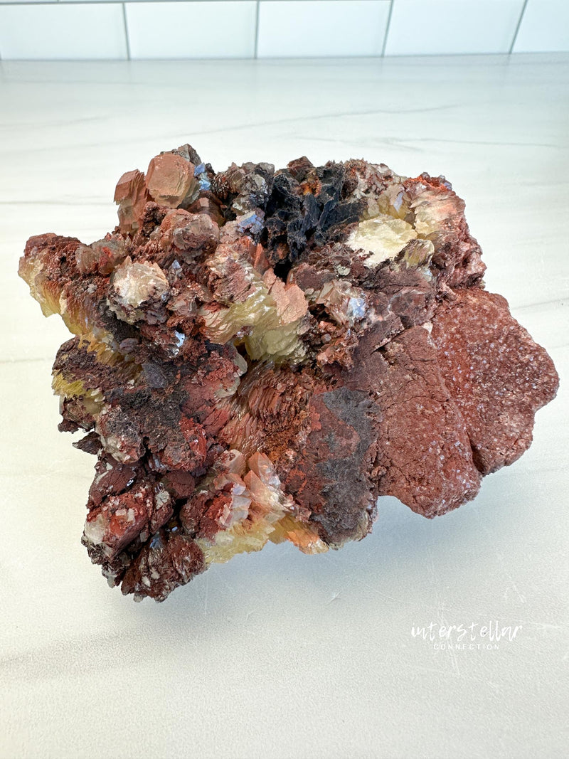 COIN CALCITE - RARE Mineral Fine Specimen