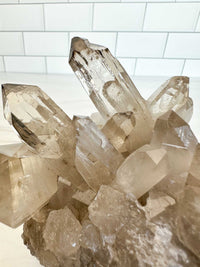 ELYSIAN Natural Citrine Cathedral Quartz Cluster w/ Radon Spots (STAR COLLECTION)