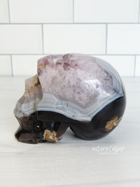 Banded Agate Amethyst 3.75" Geode SKULL Carving #S9