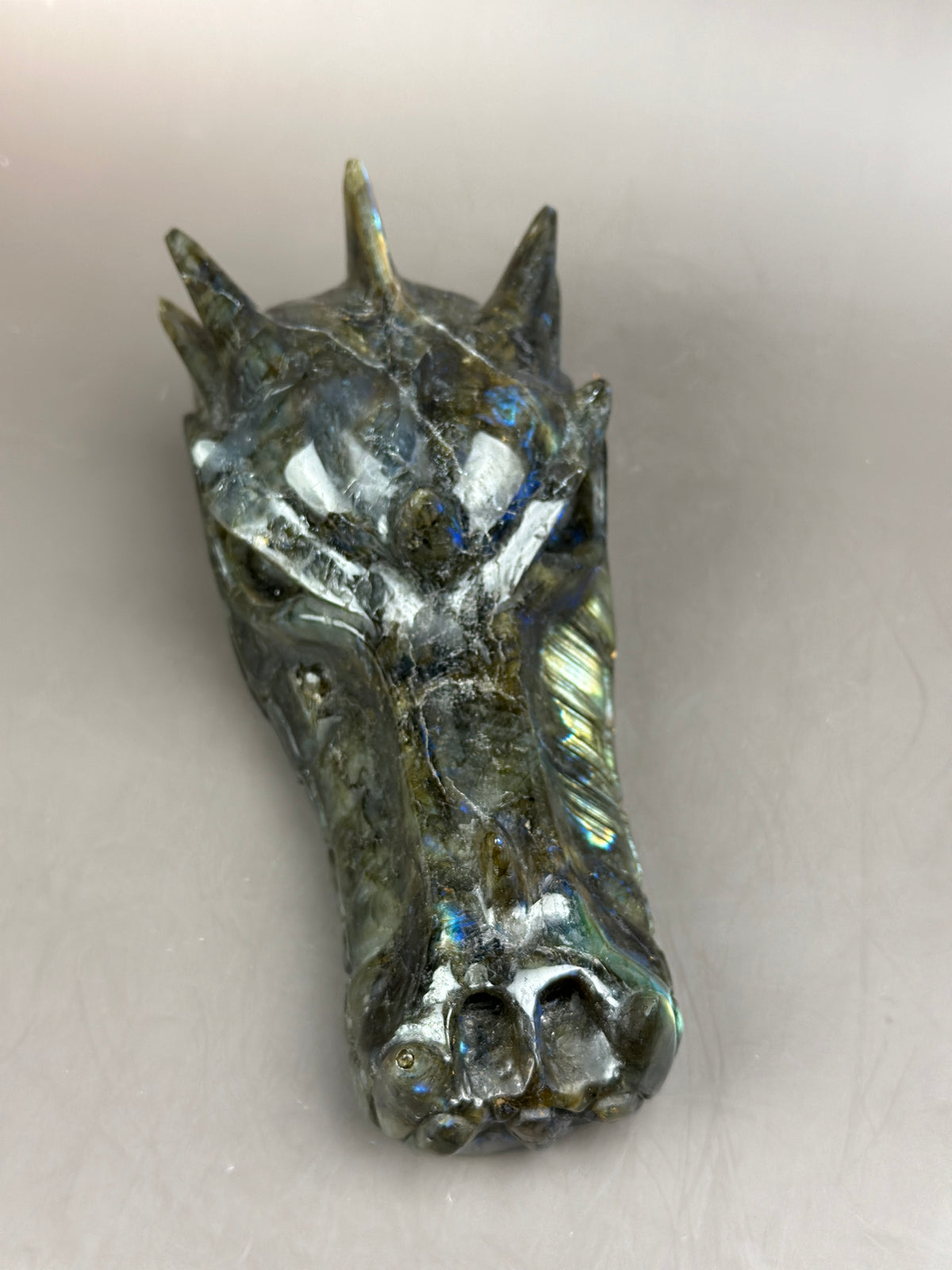 FLASH Statement 7" Flashy Labradorite Dragon Skull Carving #D8