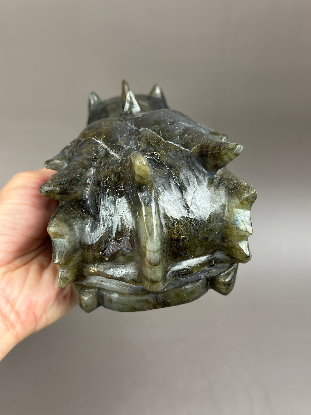 FLASH Statement 7" Flashy Labradorite Dragon Skull Carving #D8