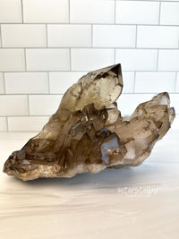 GOLDEN GRACE Natural Citrine Cathedral Quartz Cluster w/ Smoky Radon spots (STAR COLLECTION)