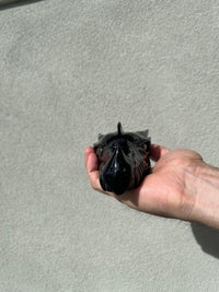 Black Obsidian Dragon skull head with Labradorite eyes #D11