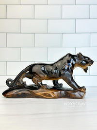 JAGUAR Full Body Tiger's Eye A