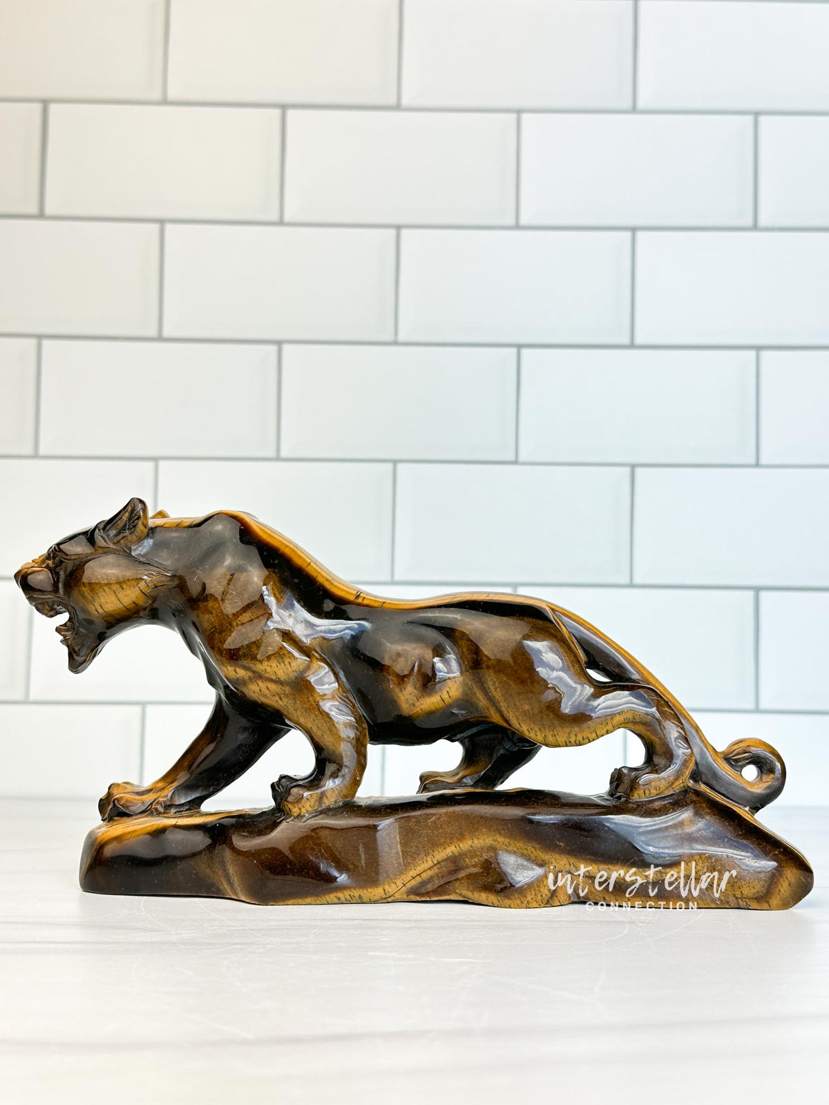 JAGUAR Full Body Tiger's Eye A