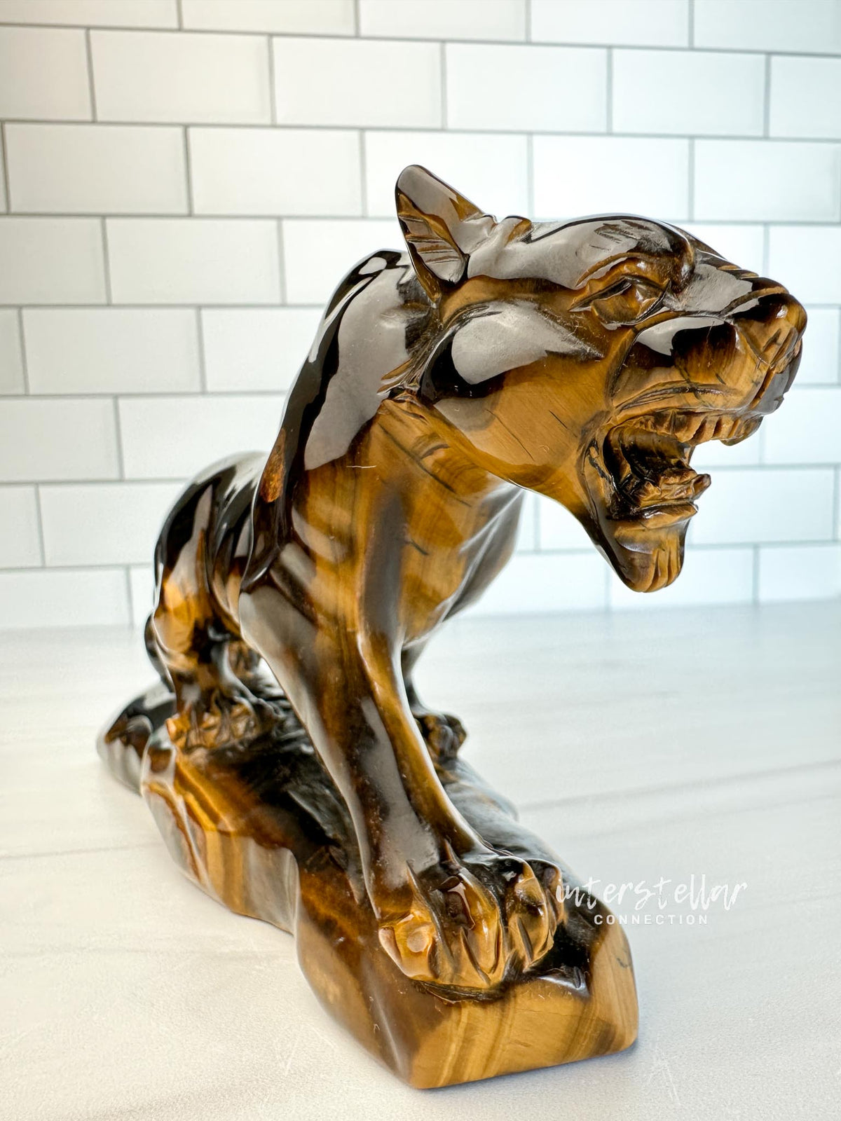 JAGUAR Full Body Tiger's Eye A