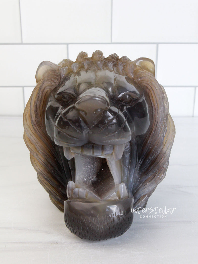 LEO - Druzy Agate LION Head Carving