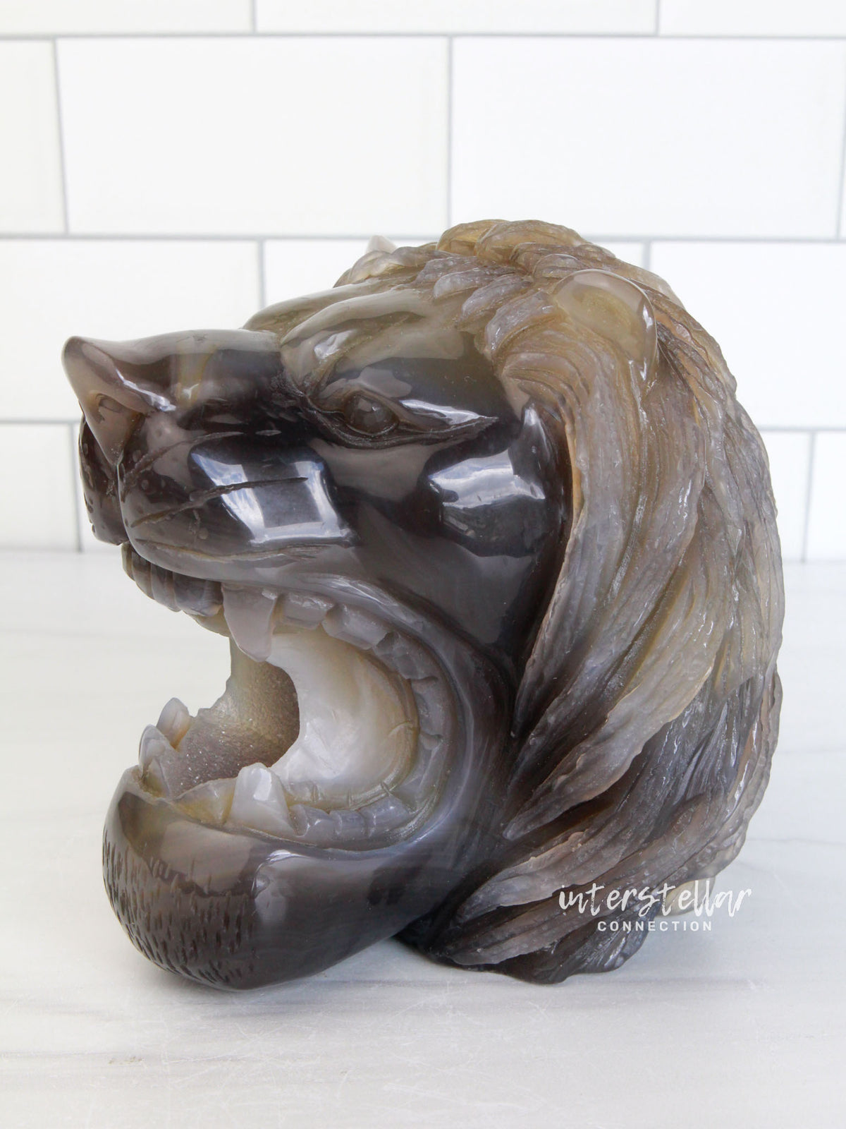 LEO - Druzy Agate Geode LION Head Carving