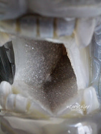 LEO - Druzy Agate Geode LION Head Carving