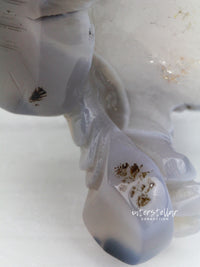 Three-Legged Geode Agate Prosperity Feng Shui Money TOAD Carving - BB