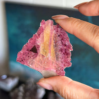Pink and Yellow Tourmaline Slice blue background