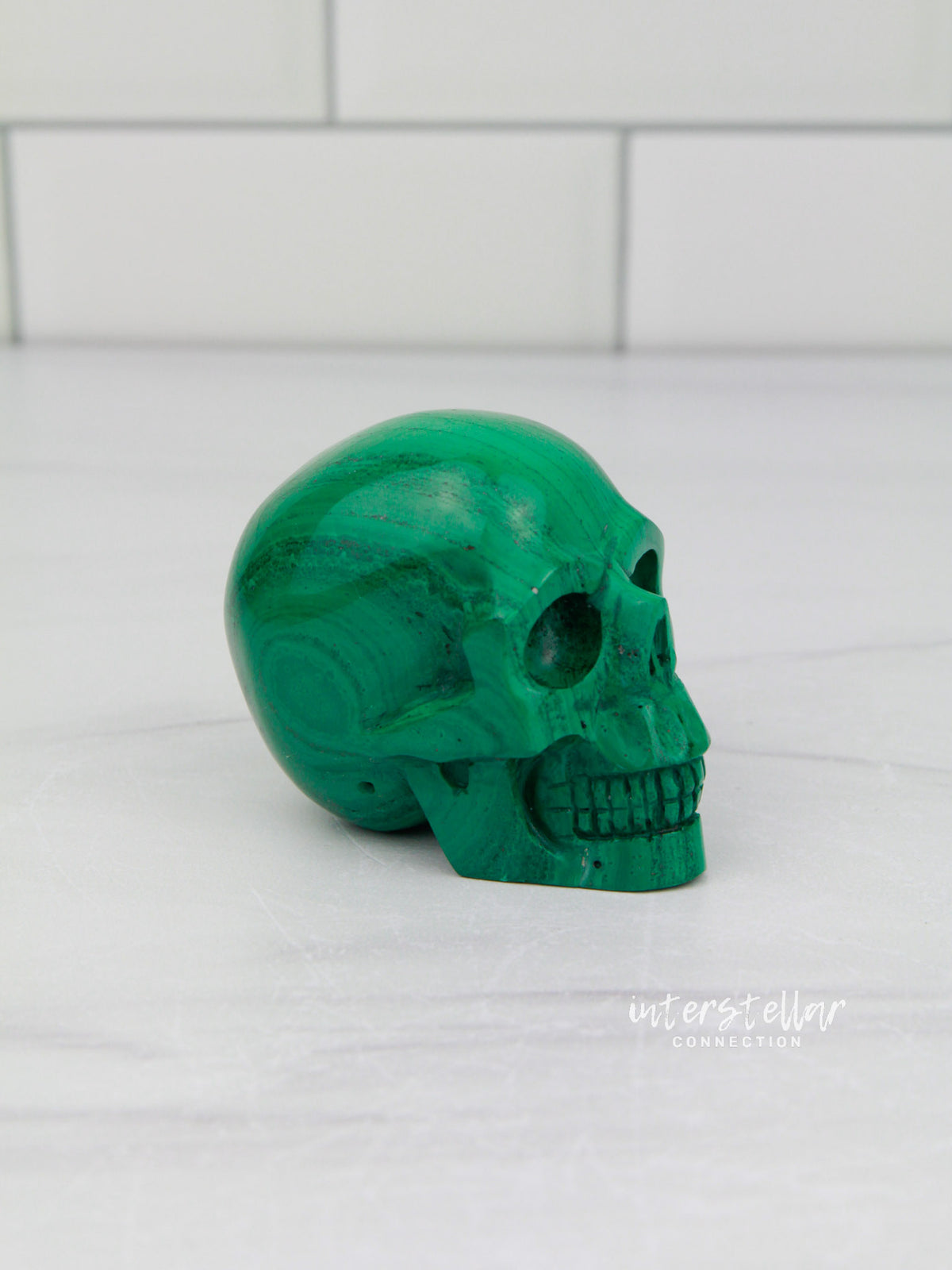 RALPH - Malachite Skull Carving