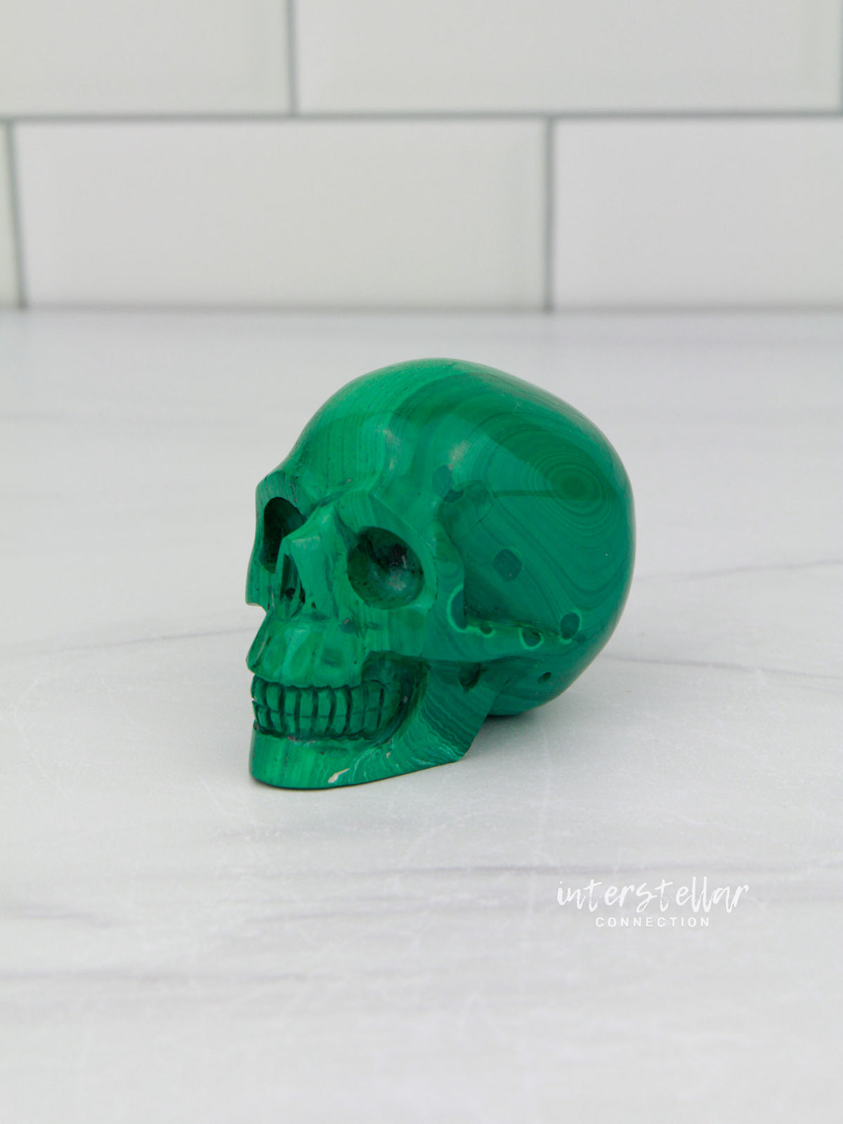 RALPH - Malachite Skull Carving