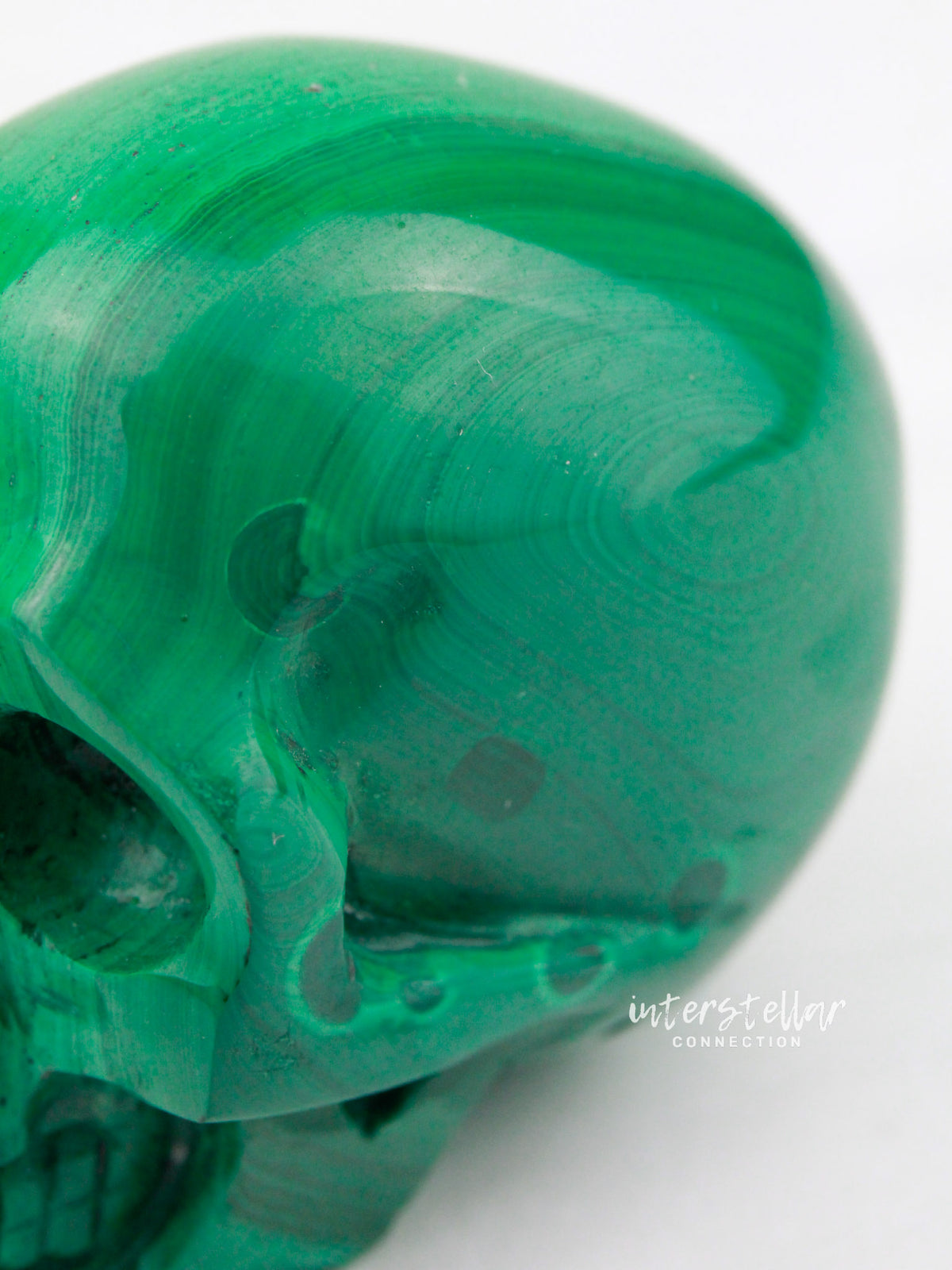 RALPH - Malachite Skull Carving