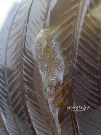 VADER - Agate Amethyst Geode WINGED SKULL carving #S14