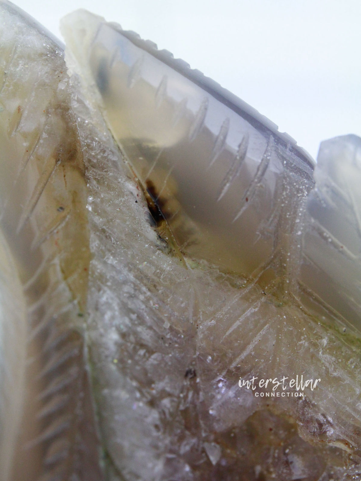VADER - Agate Amethyst Geode WINGED SKULL carving #S14
