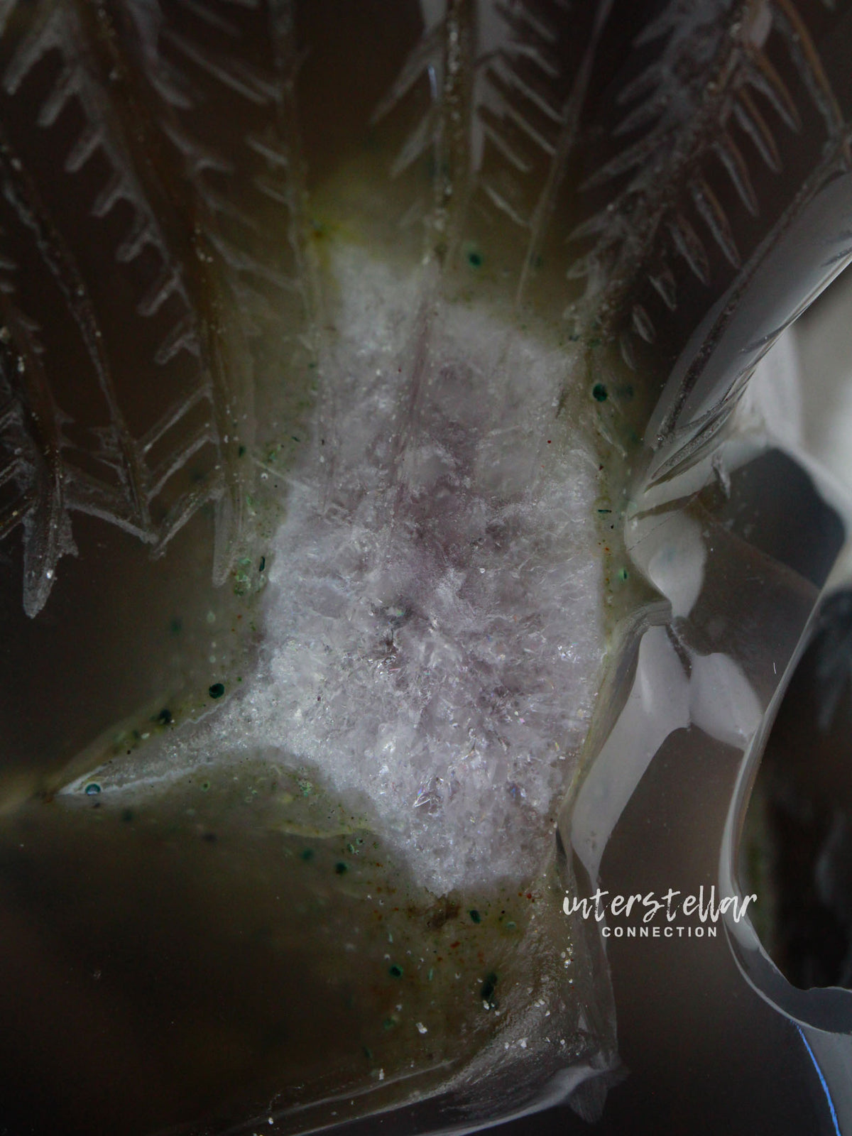 VADER - Agate Amethyst Geode WINGED SKULL carving #S14