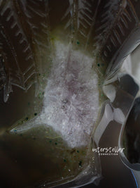 VADER - Agate Amethyst Geode WINGED SKULL carving #S14