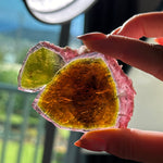 Yellow & Pink Tourmaline Slice backlit