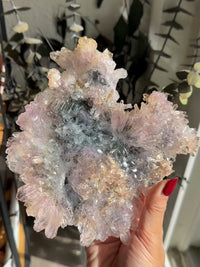 Vibrant & Colorful Amethyst Flower