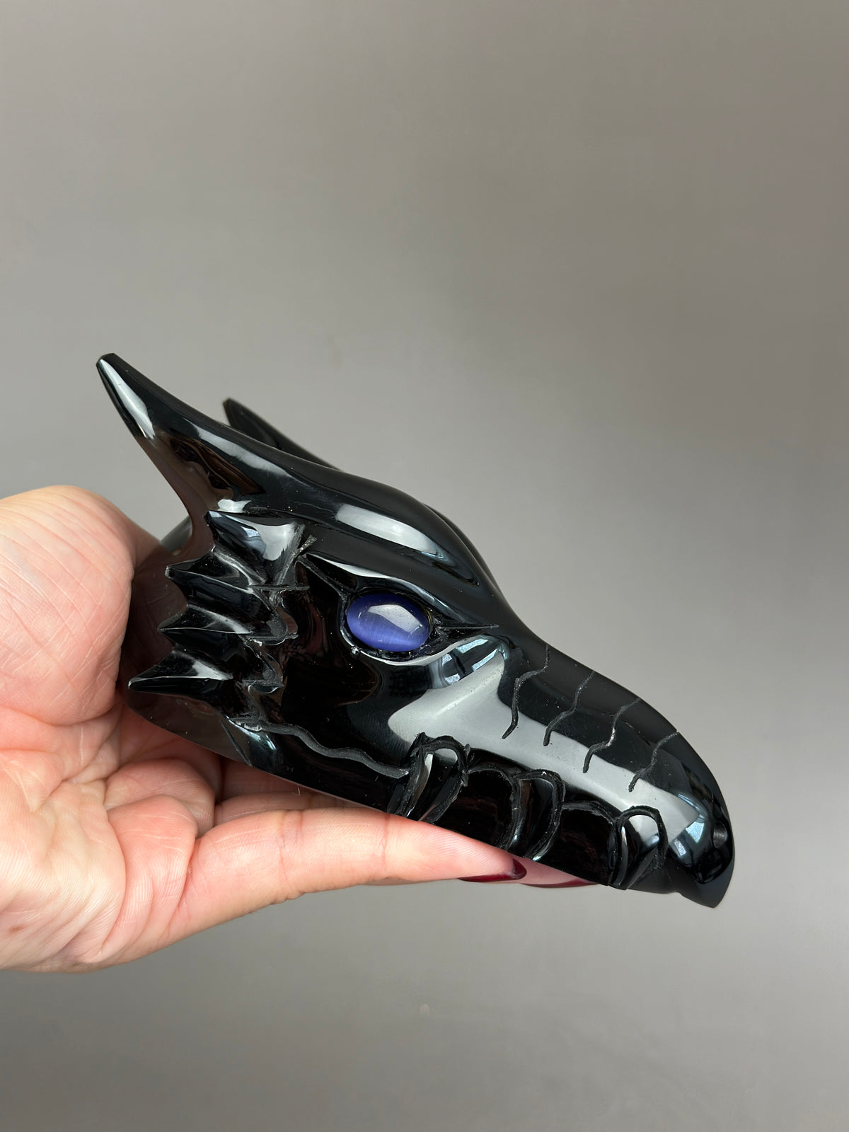 Black Obsidian 5" Hand-Carved Dragon Skull with Cat's Eye #D10