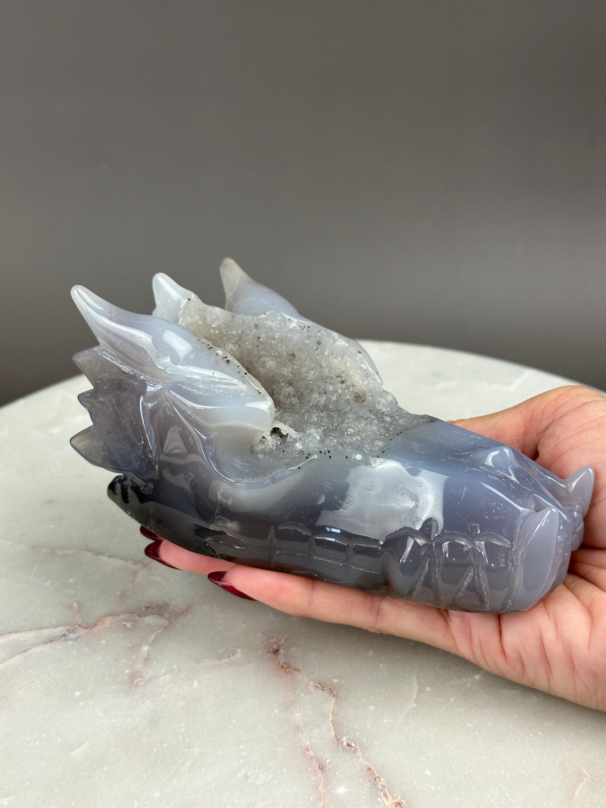 Druzy Agate 4.75" Dragon Skull #D2