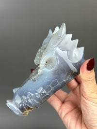 Druzy Agate 4.75" Dragon Skull #D2