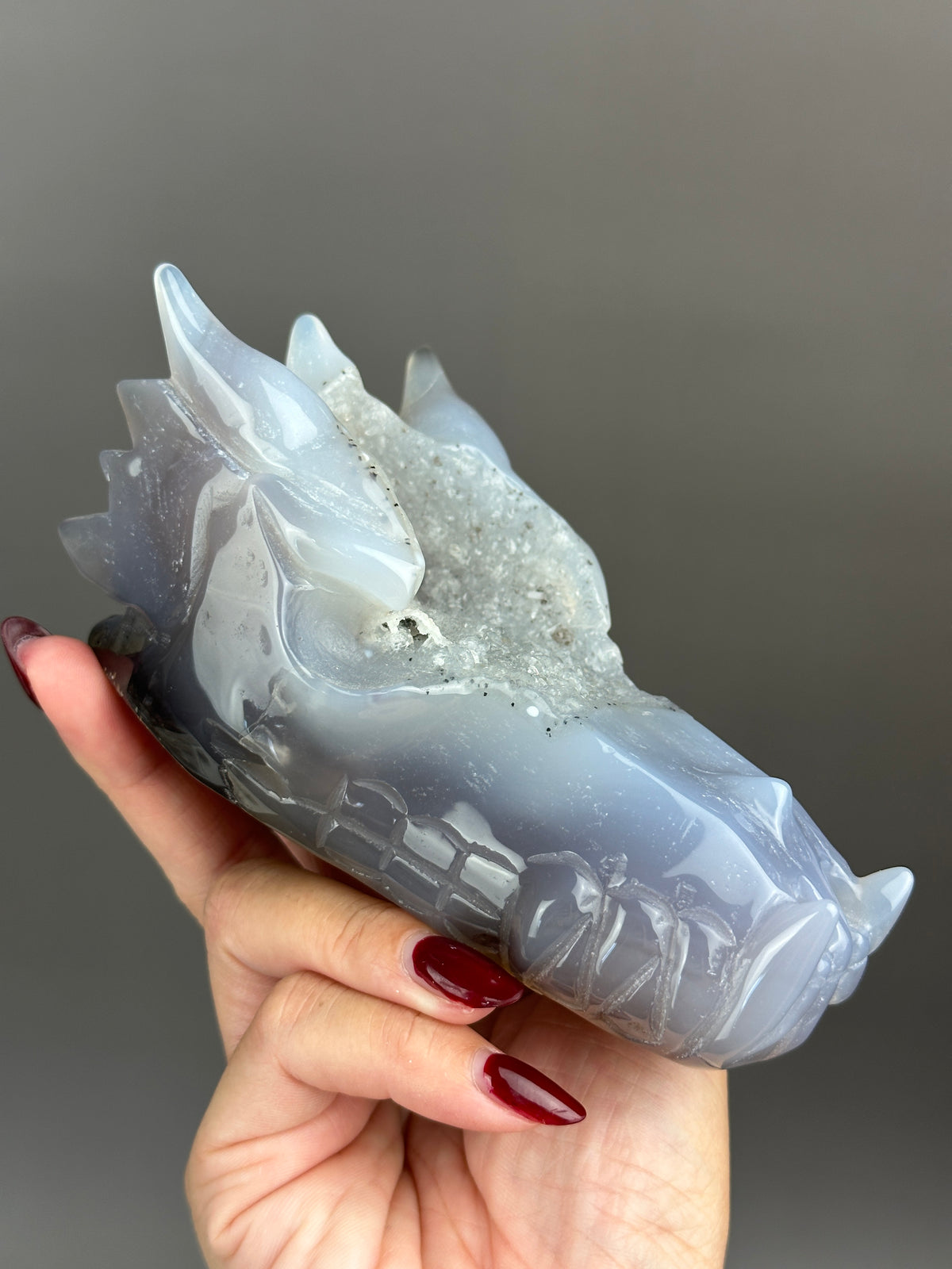 Druzy Agate 4.75" Dragon Skull #D2