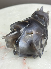 Agate Hand-carved 5" Dragon Skull #D3