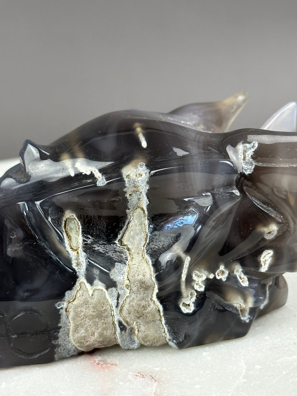 Agate Hand-carved 5" Dragon Skull #D3