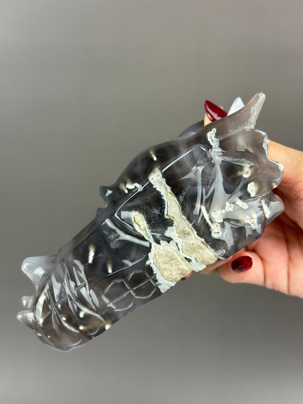 Agate Hand-carved 5" Dragon Skull #D3