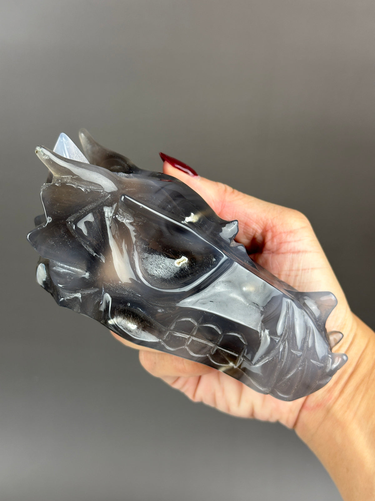 Agate Hand-carved 5" Dragon Skull #D3