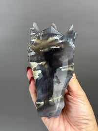 Agate Hand-carved 5" Dragon Skull #D3