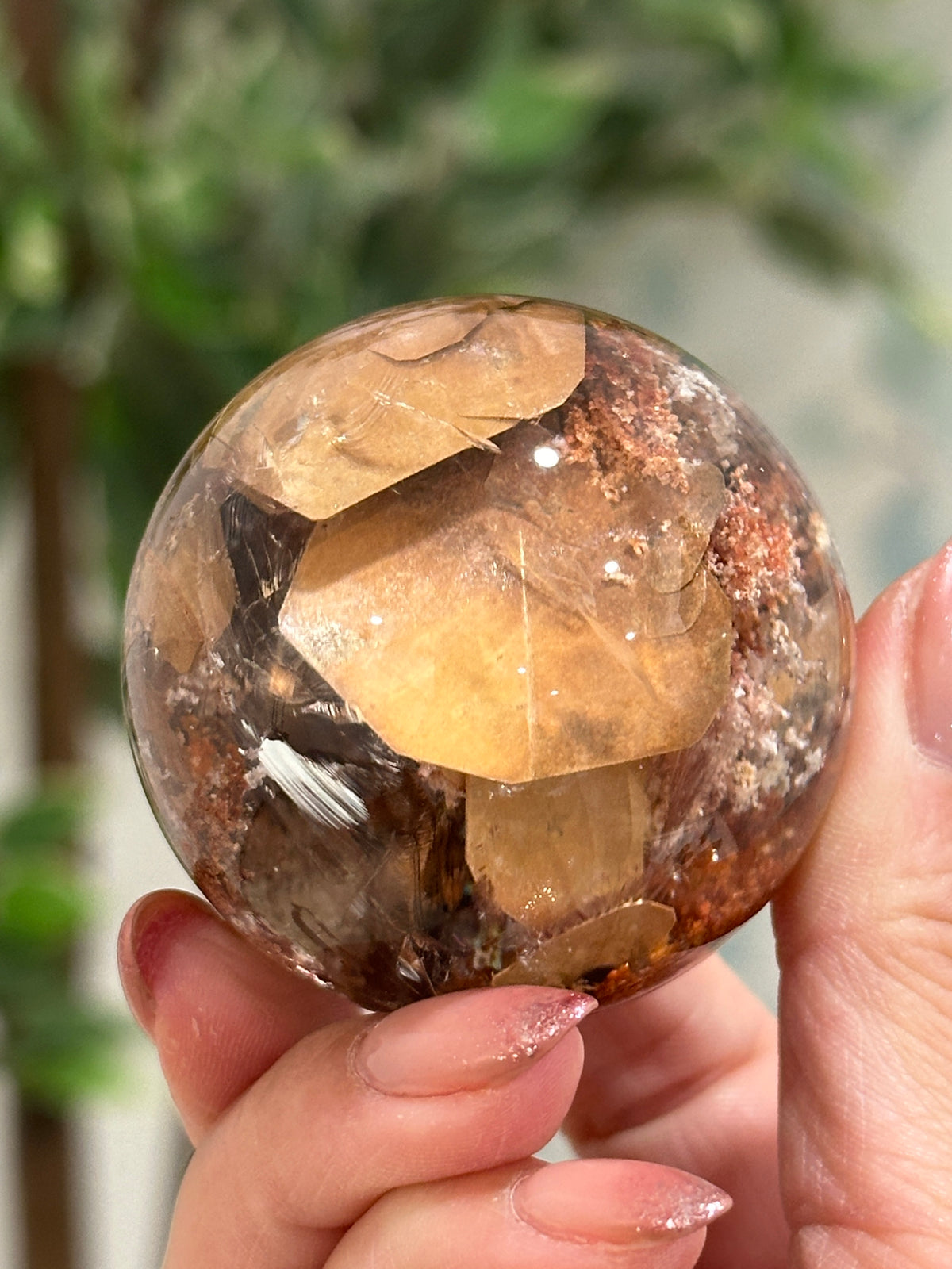 "Autumn Avenue" Garden Quartz Lodolite Sphere