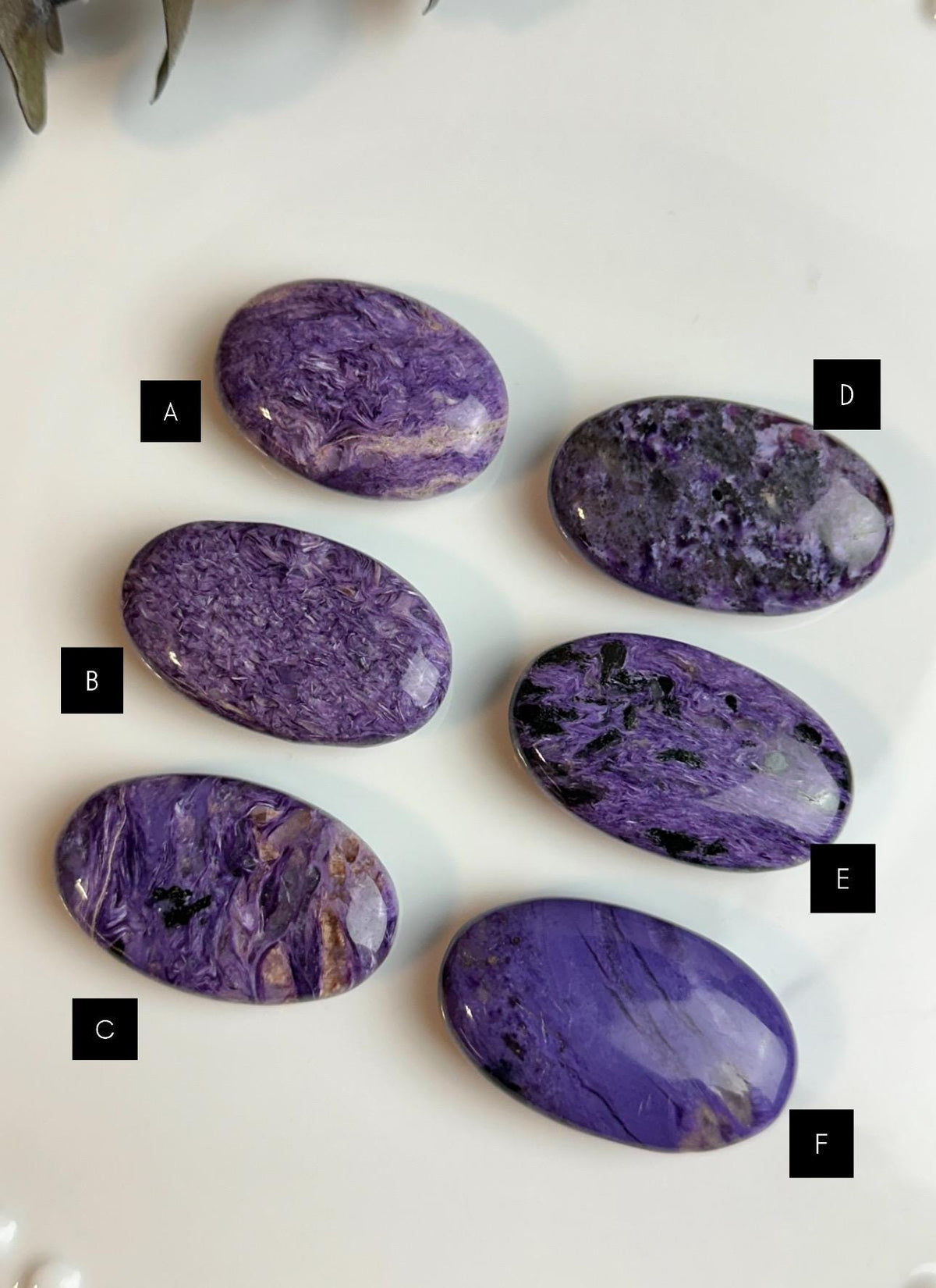 High Quality Charoite Palmstone, Purple Charoite Palm, Medium Pocket Stone 2" - CHOOSE YOUR PIECE