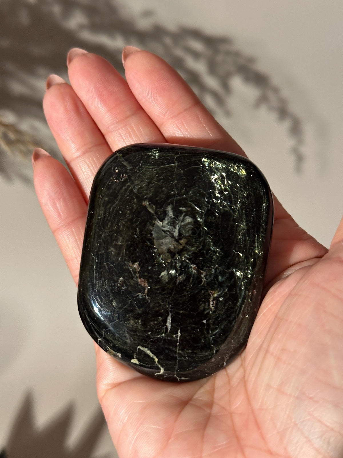 Rare Russian Mineral Tetraphlogopite Palm Stone Tetra Flogopite Palmstone Pocket Stone Gift for Crystal Collector #2