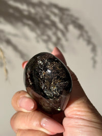 Rare Large Tetraphlogopite Palm Stone Russian Mineral Specimen #1