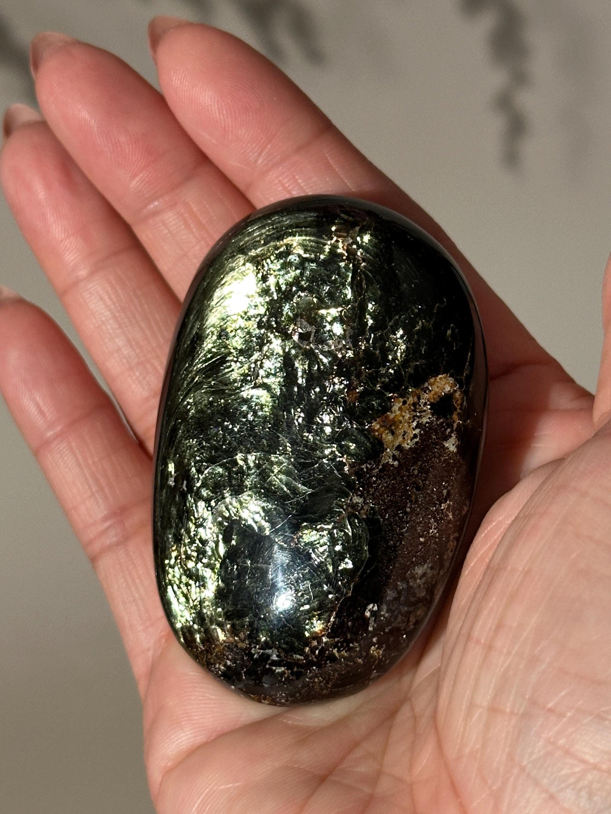 Rare Large Tetraphlogopite Palm Stone Russian Mineral Specimen #1