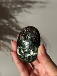 Rare Large Tetraphlogopite Palm Stone Russian Mineral Specimen #1